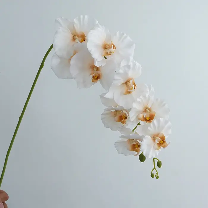 Branches de fleurs de Phalaenopsis artificielles à 9 têtes, tiges d'orchidées en Faux toucher réel p