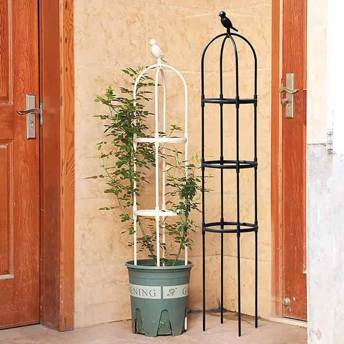 1 Ensemble de treillis de support pour plantes grimpantes