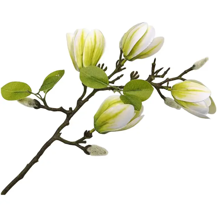 Bouquet de Magnolias Réalistes en Soie avec Feuilles Texturées et Boutons Définis pour l'Aménagement du Salon