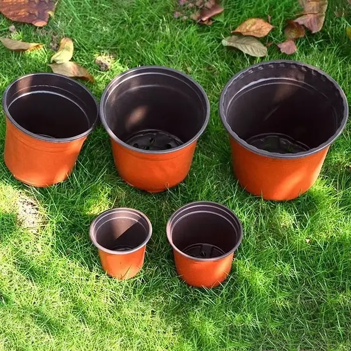 Pot de fleurs en plastique pour culture de plantes succulentes
