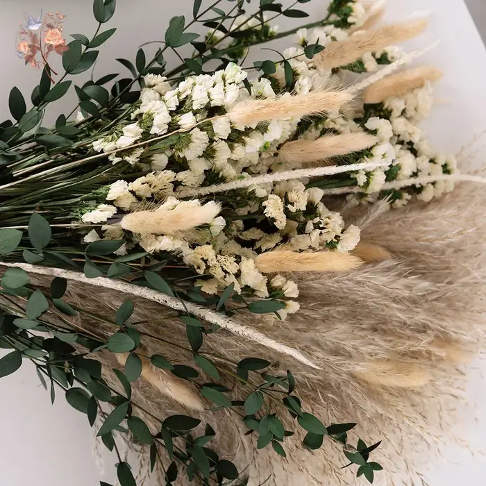 Ensemble de bouquets de fleurs d'eucalyptus Pampas séchées naturelles