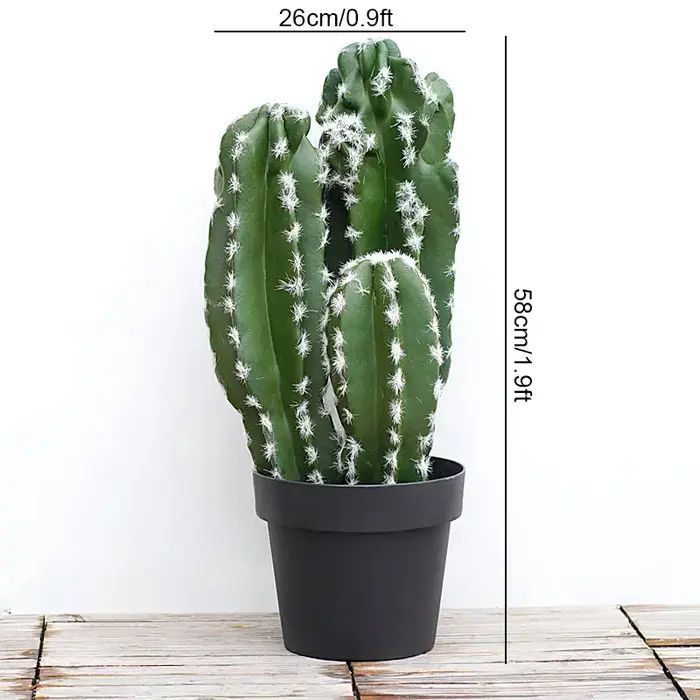 Plante succulente verte tropicale artificielle