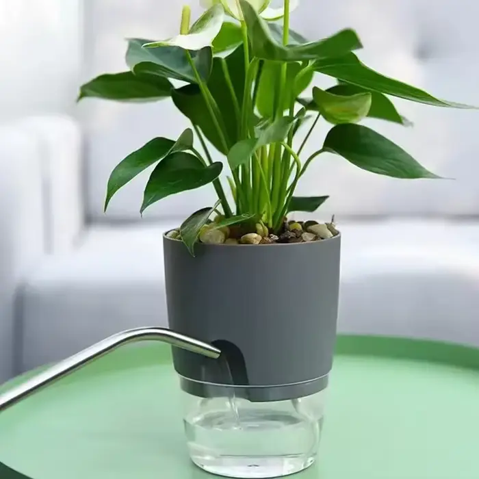 Pots auto-arrosants pour plantes