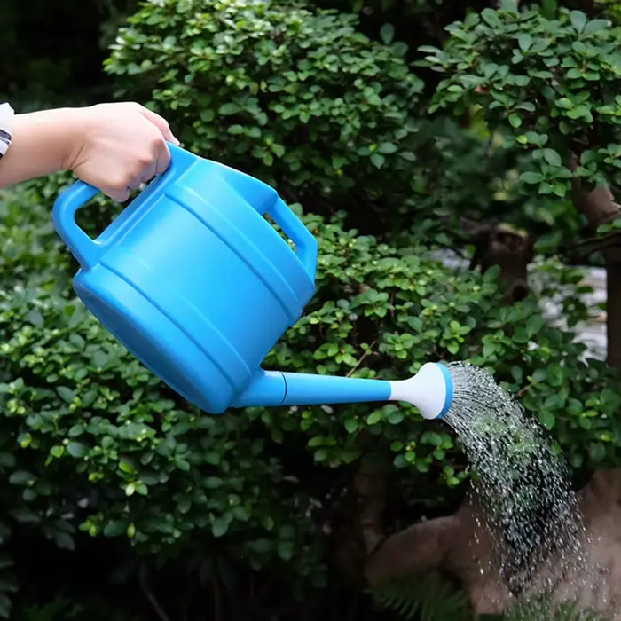 Arrosoir pour plantes d'intérieur et d'extérieur