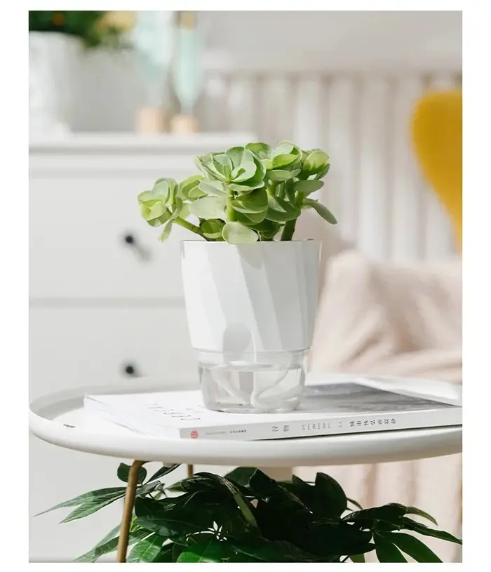 Pot d'arrosage automatique transparent