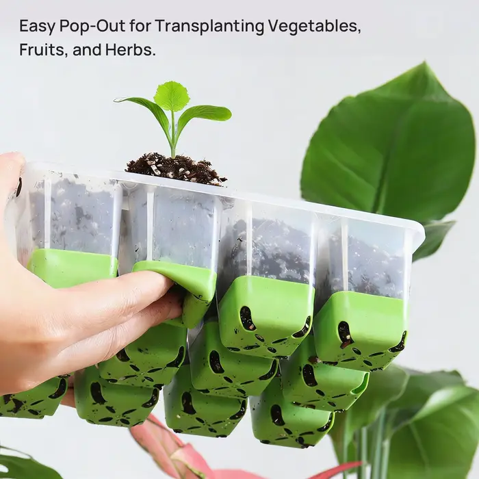 Mini pots pour plantes avec trous de drainage