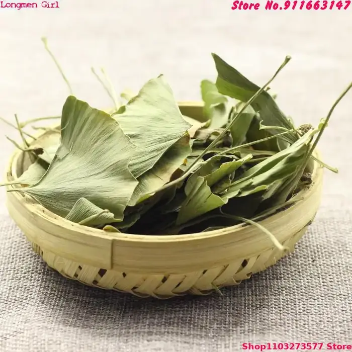 Feuilles séchées de Ginkgo Biloba de haute qualité
