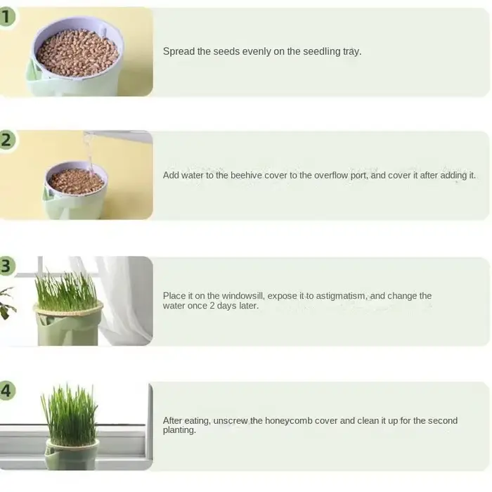Nouveau plat de germe de chat pour animaux de compagnie Pot de culture plante hydroponique