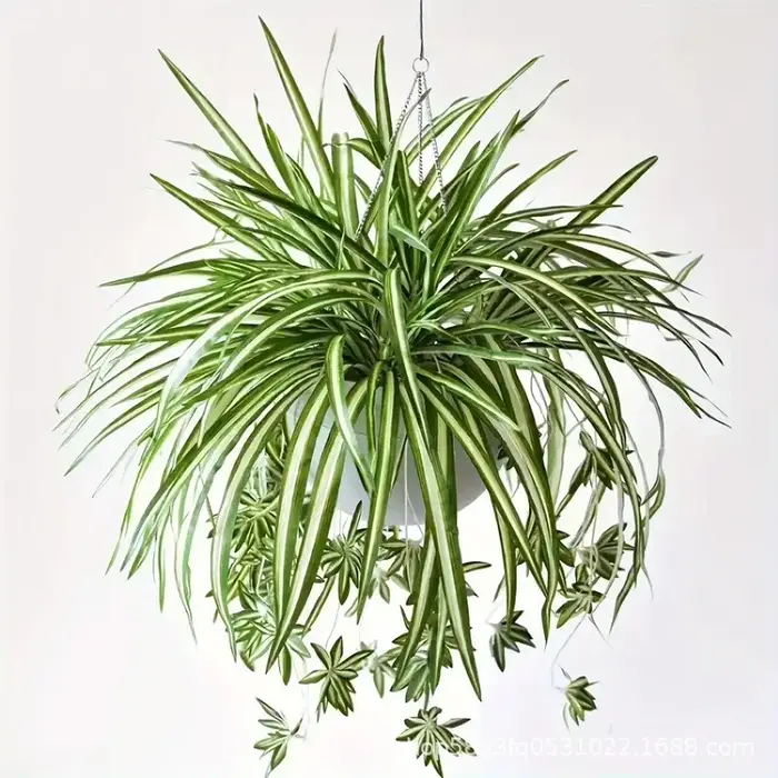 Plantes artificielles murales suspendues