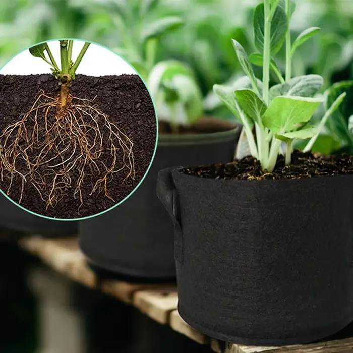 Sac de plantation en feutre pour pommes de terre