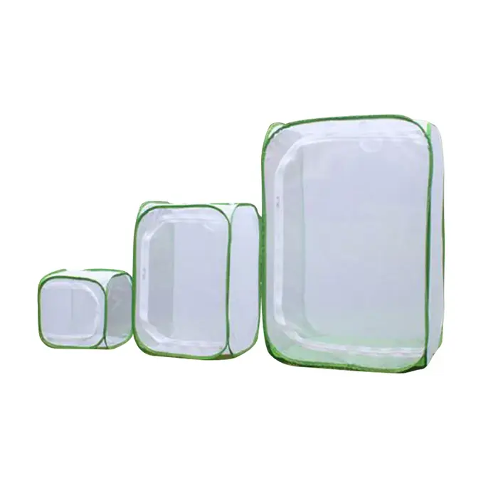 Mini Boîte d'Alimentation Noire pour Insectes, Pliable, en Maille, pour Plante et Serre