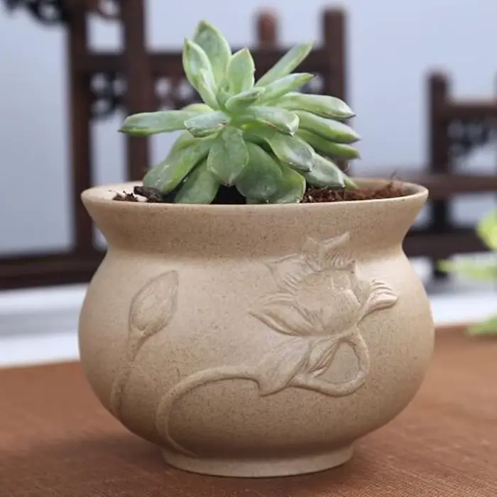 Pot de plante succulente en poterie grossière rétro