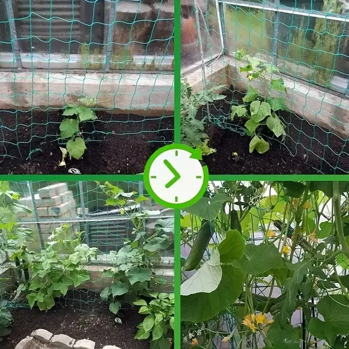 Filet d'escalade pour plantes