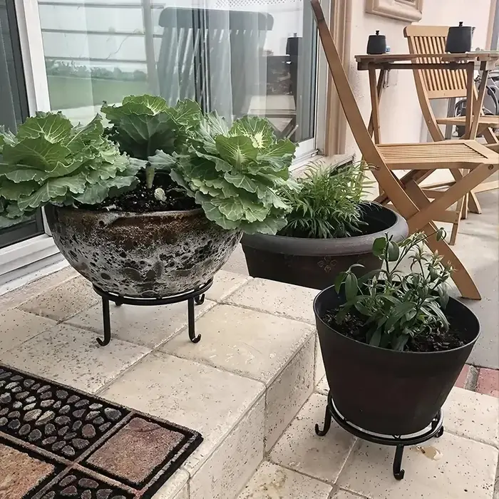 Supports de plantes en métal pour pot de fleur