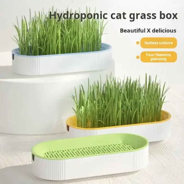 Kit de culture hydroponique d'herbe à chat pour chats