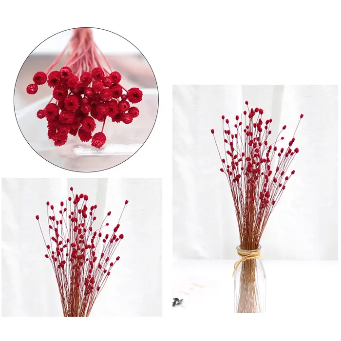 250 pièces vraie fleur sèche fleurs séchées naturelles photographie décorative décor à la maison Photo toile de fond