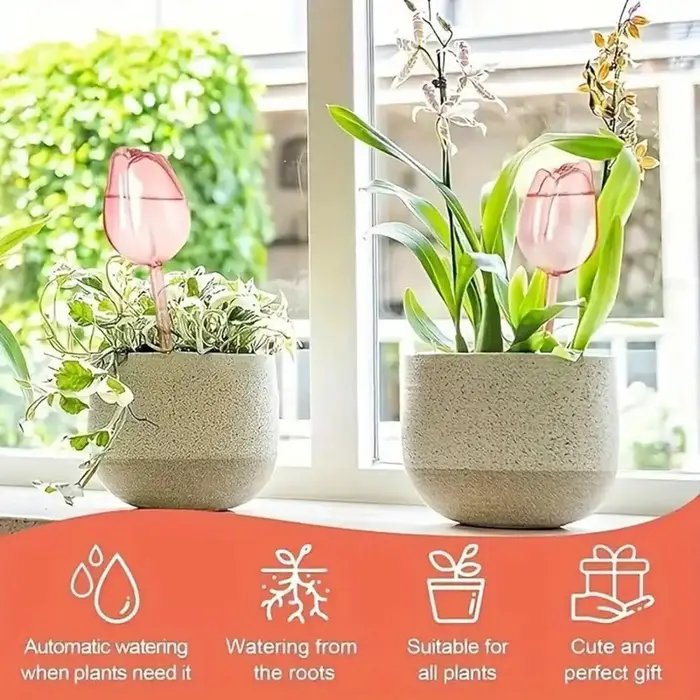 8 Globes d'arrosage automatiques pour plantes