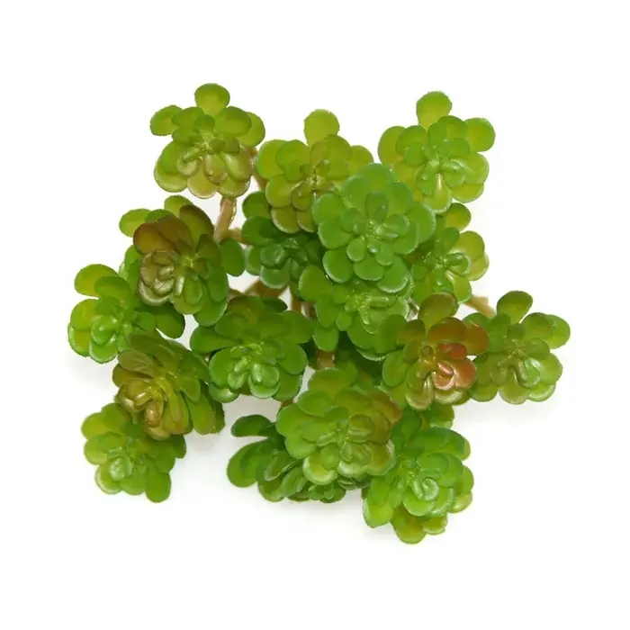 12 pièces de plantes succulentes artificielles en plastique, fausses fleurs d'automne, décoration d'