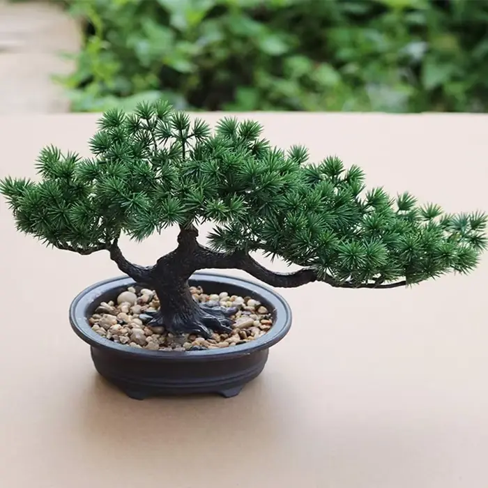 Plante Bonsaï Artificielle en Pot