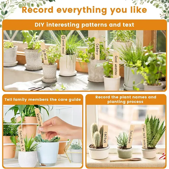 Étiquettes de plantes en bambou