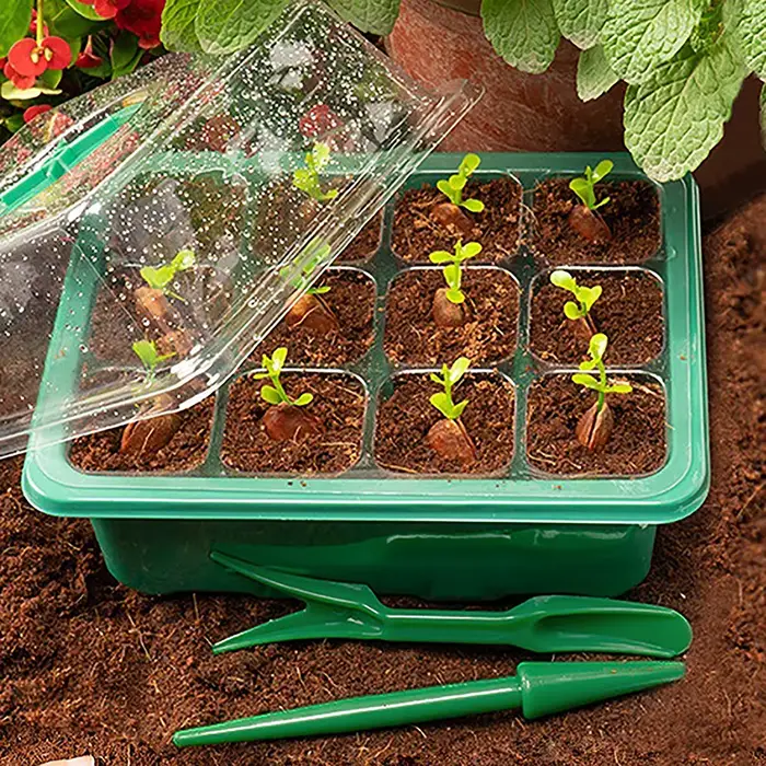 Pots de plantes en plastique avec trou de 6/12 cellules, boîte de culture, pots de semis de plantes,