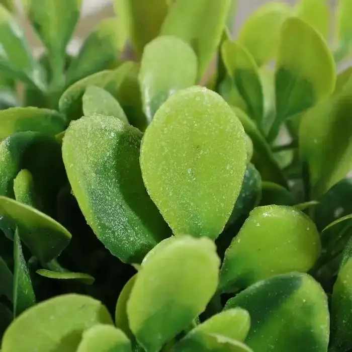 Plante en Pot, petites fausses plantes