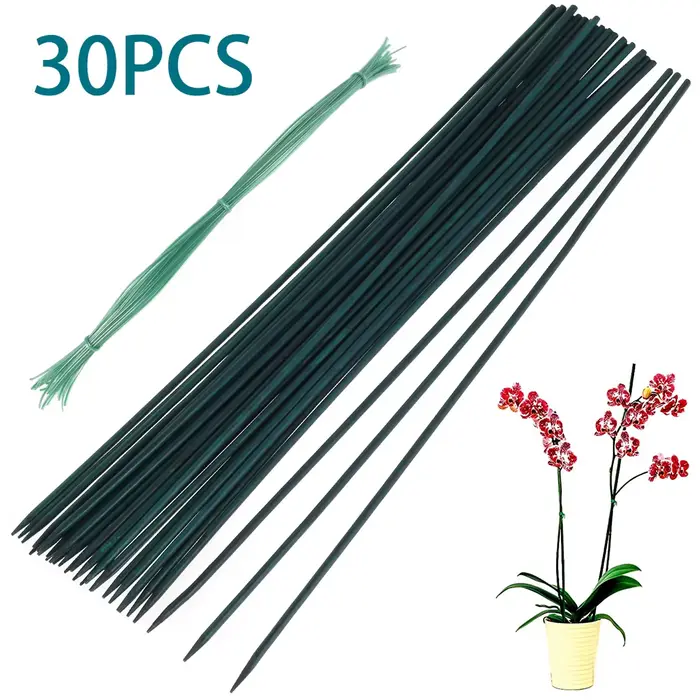 30 pièces bambou vert bâtons plante Support fleur bâton orchidée tige
