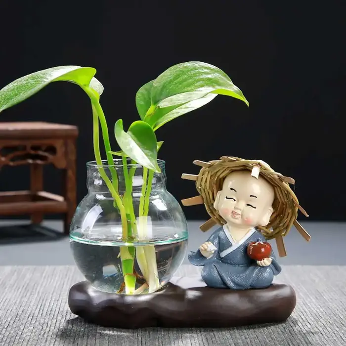 Vase en verre belle plante transparente Terrarium