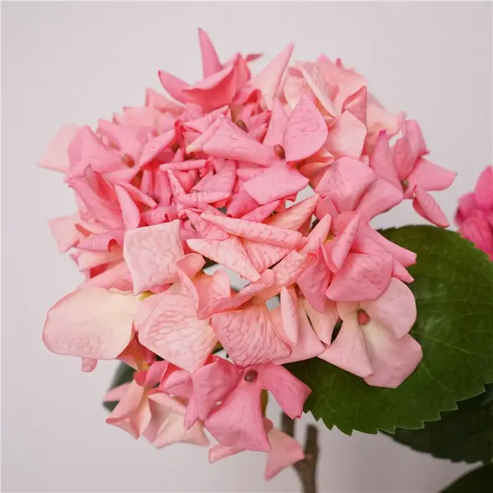 Touchez les fausses fleurs d'hortensia hydratantes