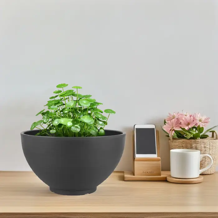 Bol de jardinière de Lotus