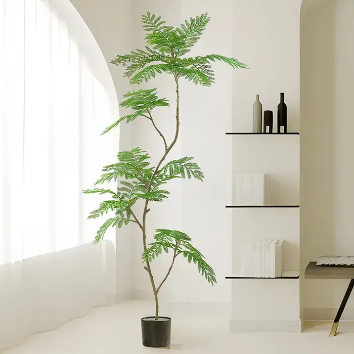 Simulation de plante verte Jacaranda