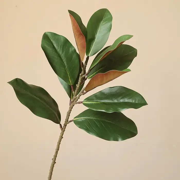 Branches de feuilles de magnolia artificielles de 57 cm, toucher réaliste, plante de magnolia artificielle, art floral, plantes vertes simulées faites à la main