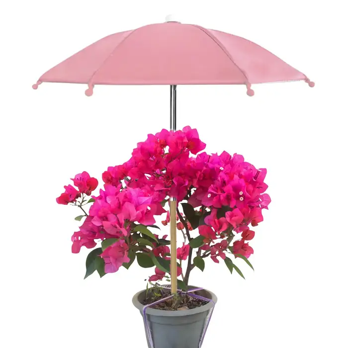 Parasol de protection UV pour plantes