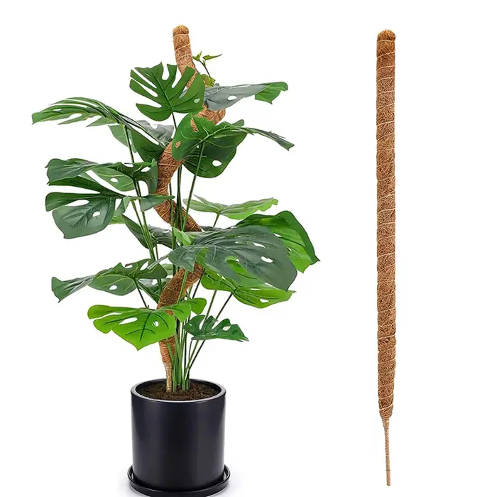 Poteau d'escalade pour plantes, bâton pliable marron noix de coco, colonne en rotin grimpant pour pl