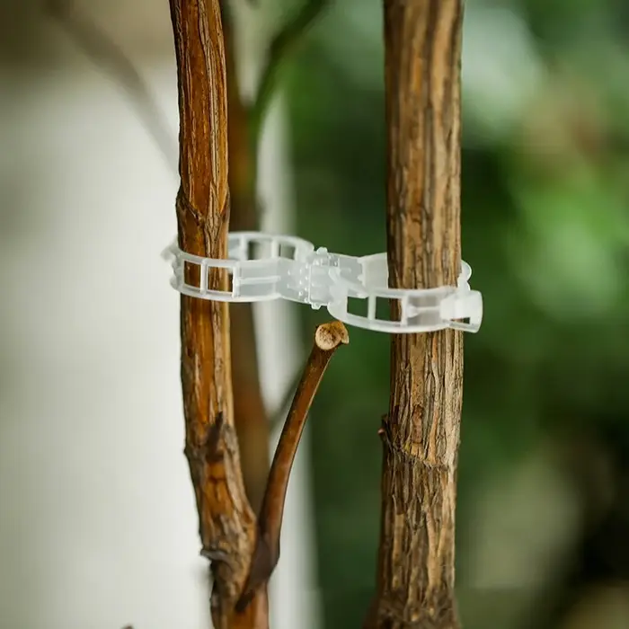 Clips de Support de plantes en plastique