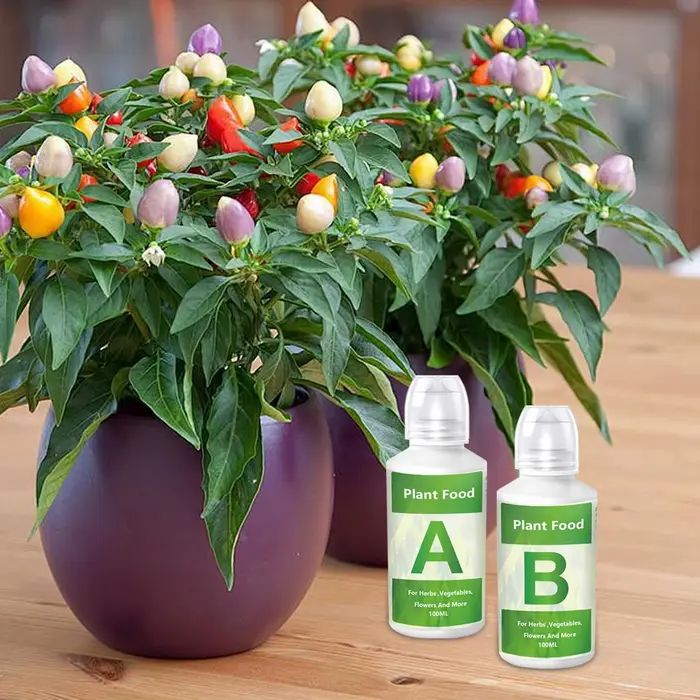 Engrais hydroponique A et B pour plantes de jardin