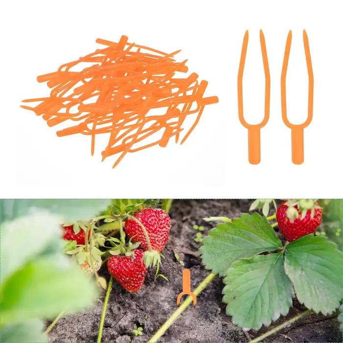 Lot de 50 attaches de jardinage en plastique
