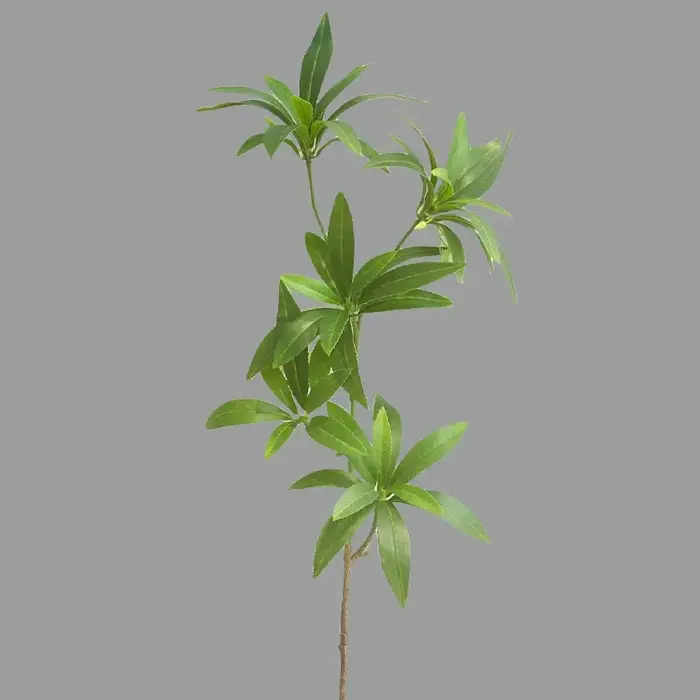 Fleur Artificielle Elaeocarpus Hainanensis, Plante Verte, Décoration de Mariage, Maison, Décoration 
