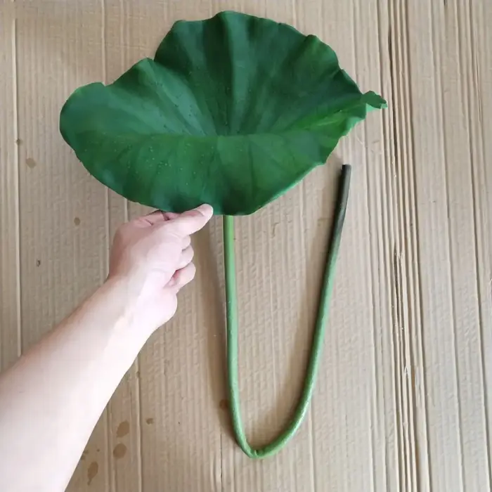 Fleur artificielle paysagère à longue tige pour décoration DIY