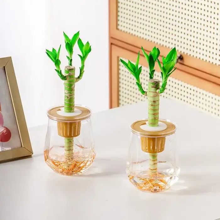 Mini Pot de fleur à arrosage automatique