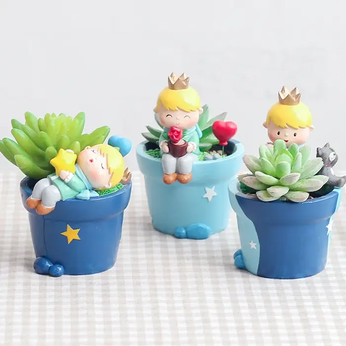 Jardinière Prince Kid pour plantes succulentes Cactus