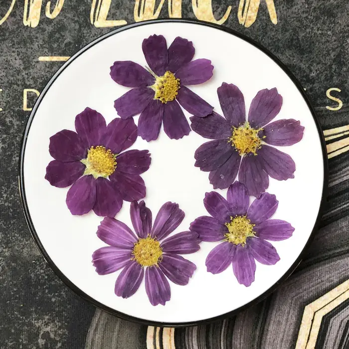 Cosmos violet de Murcia séché, BipinnMi, 4-7cm, 50 pièces Fleur pour carte postale, bijoux, marque-p