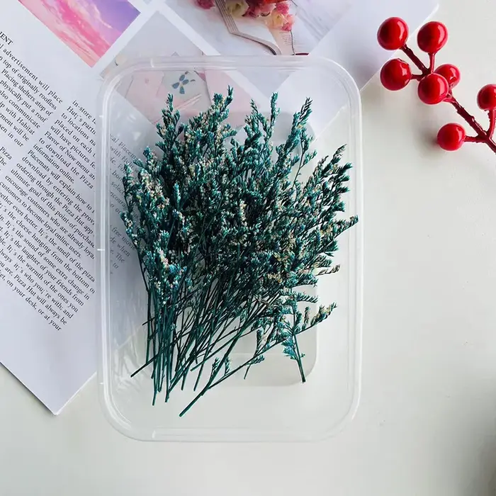 Kit de loisirs créatifs avec fleurs séchées, matériel floral décoratif pour l'ornementation artistiq