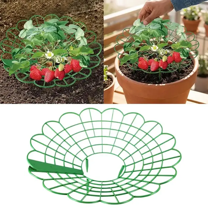 Supports pour plantes de fraises avec trois pieds robustes
