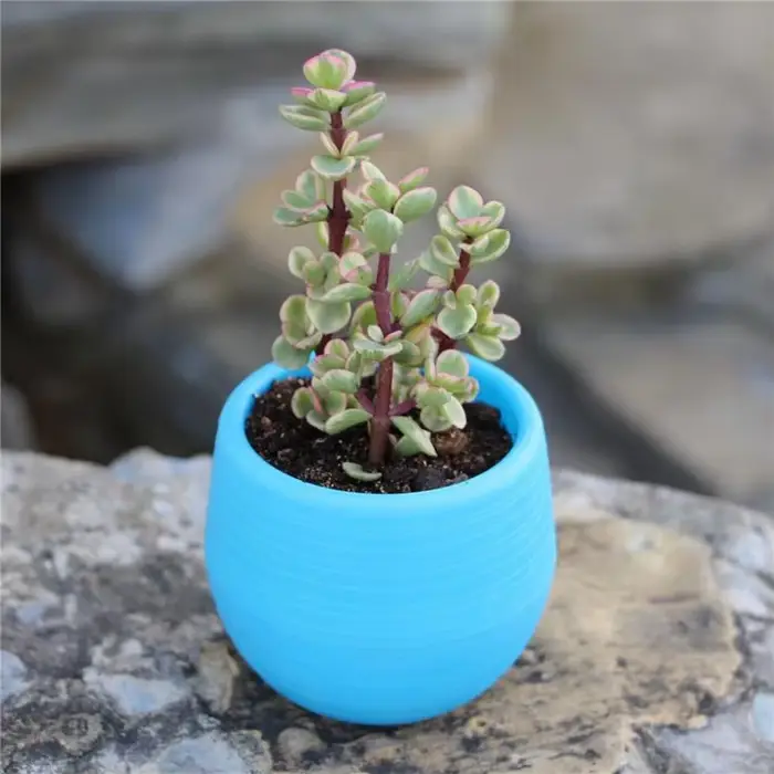 1 pièce, mini pot de fleurs en résine PP