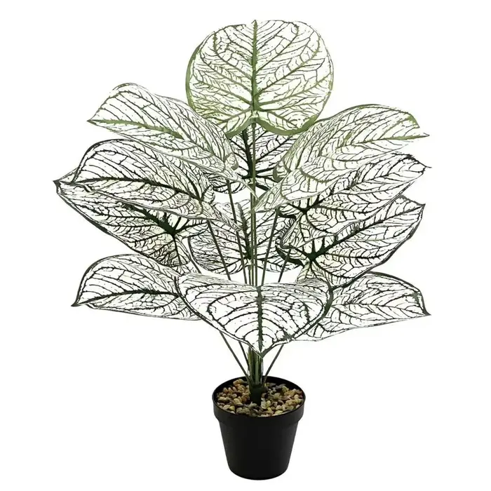 Plantes artificielles, feuille blanche et verte