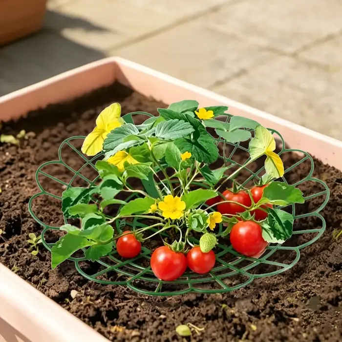 Supports pour plantes de fraises