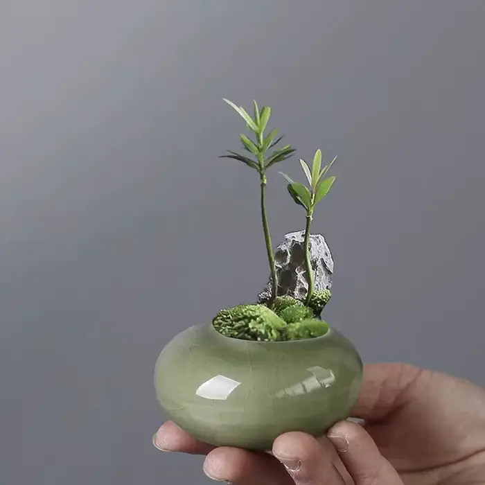 Mini pot de fleurs glacé effet craquelé