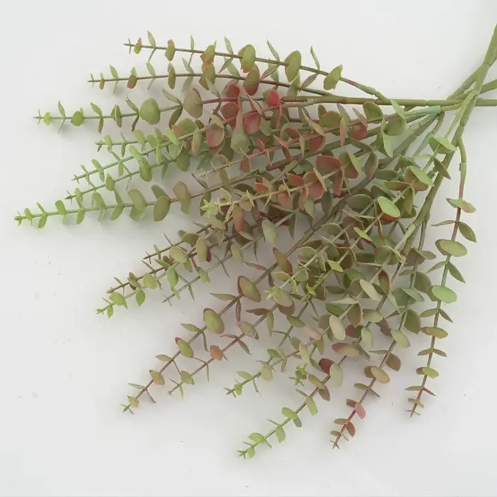 Aloès vert 10 pièces plante de Simulation en plastique Eucalyptus Milan herbe artificielle