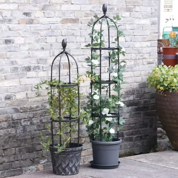Cadre de Support pour Plantes Grimpantes en Treillis